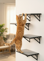 Set of 4 Black Wood Cat Wall Shelves