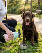 3-in-1 Dog Travel Water Bottle & Food Bowl Kit (32 oz)